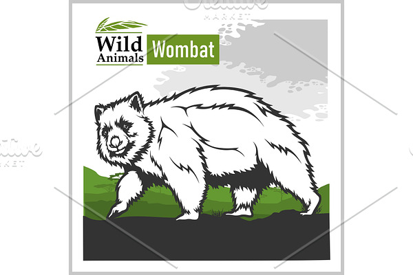 Australia landscape with Wombat -
