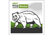Australia landscape with Wombat -