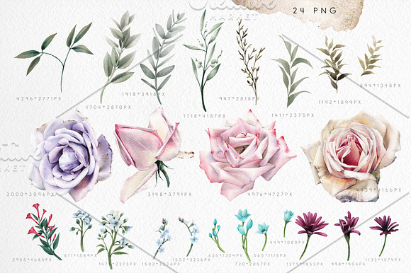 Watercolor flowers (PNG) in Illustrations - product preview 1
