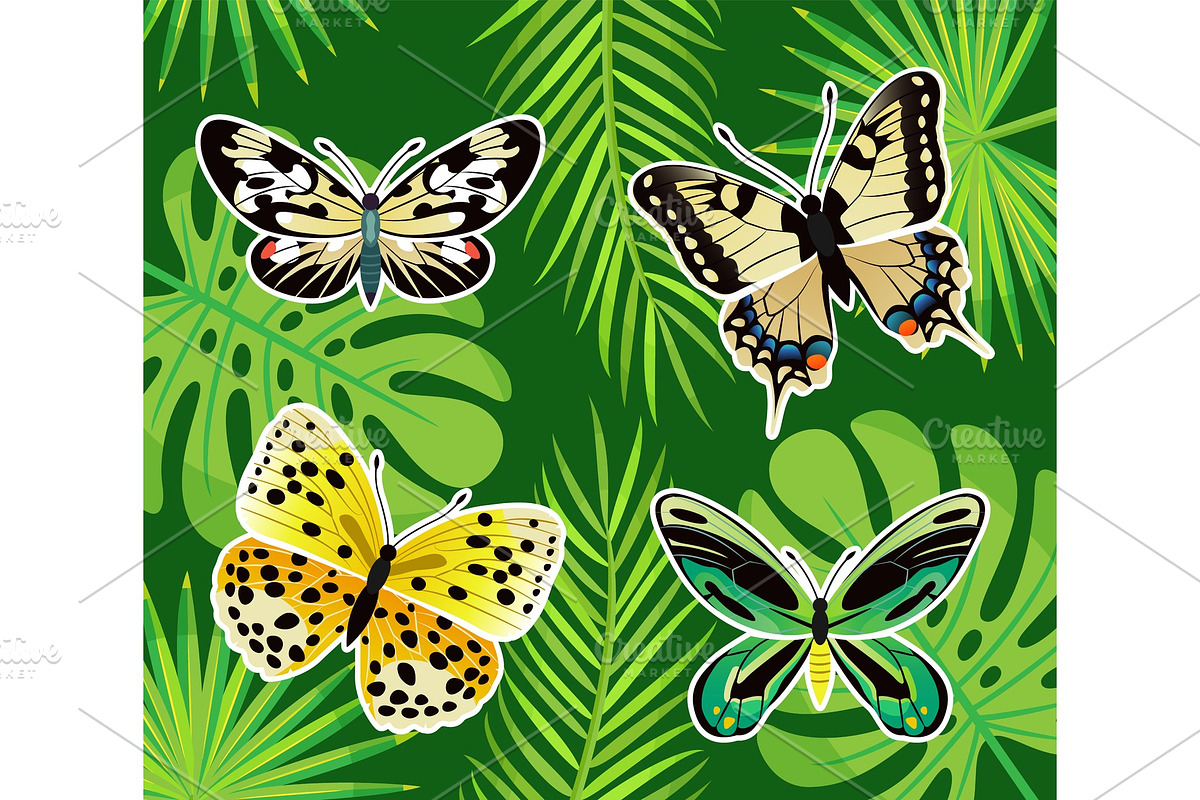 Tropical Butterflies and Exotic in Illustrations - product preview 8