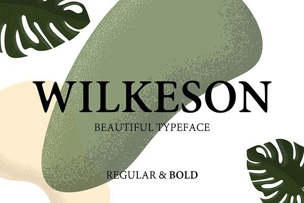 Wilkeson Modern Serif Typeface