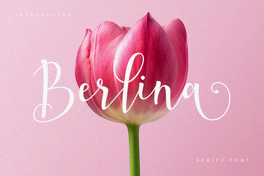 Berlina Script Font in Script Fonts - product preview 8