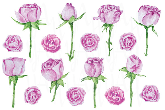 Watercolor Love Pink Rose in Illustrations - product preview 2