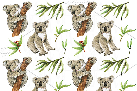 Hand Paint Watercolor Koala in Illustrations - product preview 3