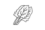 Spinach linear icon
