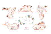 Rabbit Family. Watercolor collection