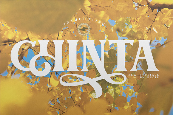 CHINTA in Serif Fonts - product preview 11
