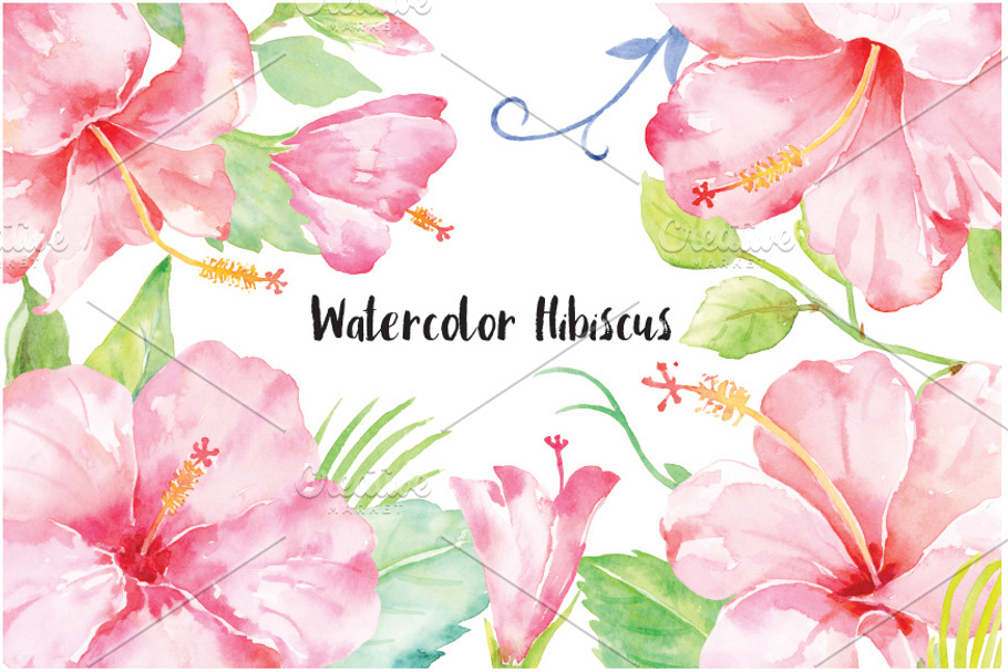 Watercolor Pink Hibiscus Clipart