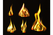 Realistic fire, torch flame set