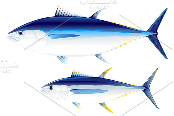 Set of tuna fish in Illustrations - product preview 1