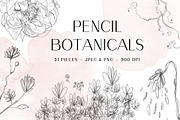 Pencil Botanical Art