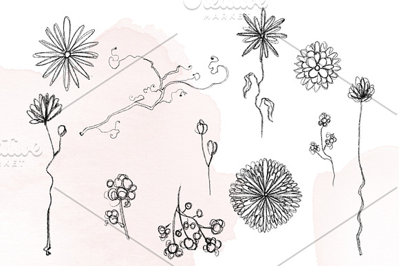 Pencil Botanical Art in Illustrations - product preview 2