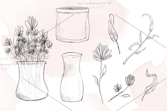 Pencil Botanical Art in Illustrations - product preview 3