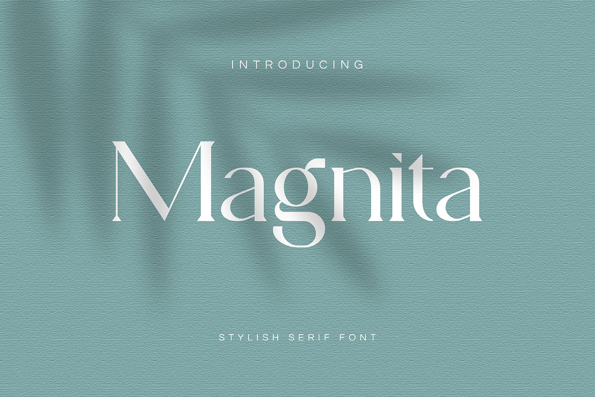Magnita Serif Font in Serif Fonts - product preview 8
