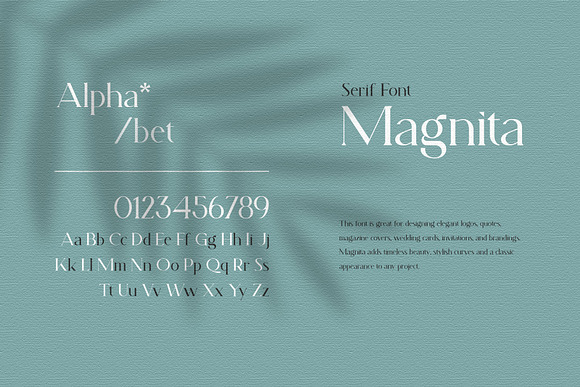 Magnita Serif Font in Serif Fonts - product preview 6