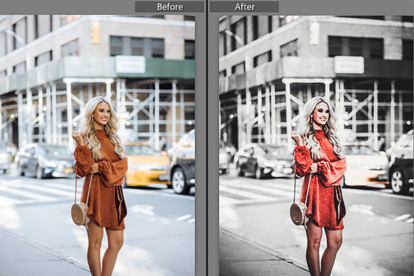 Professional blogger mobil Lightroom in Add-Ons - product preview 1