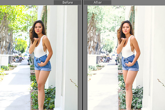 Professional blogger mobil Lightroom in Add-Ons - product preview 3