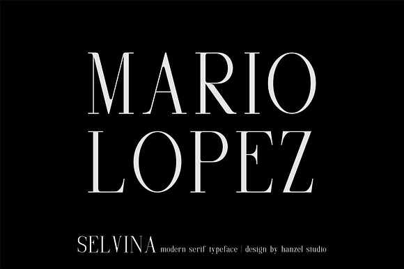 Selvina//a classic serif in Serif Fonts - product preview 1