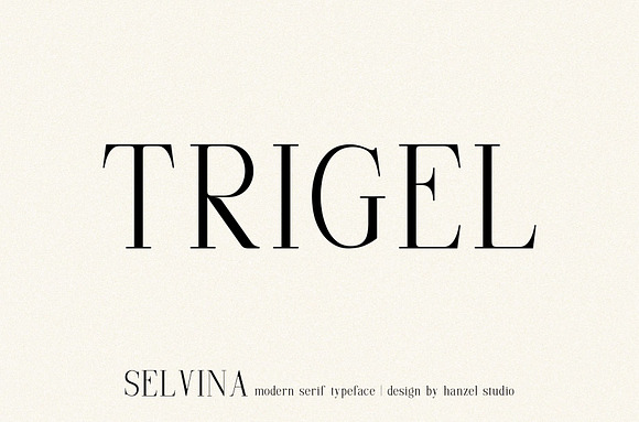 Selvina//a classic serif in Serif Fonts - product preview 2