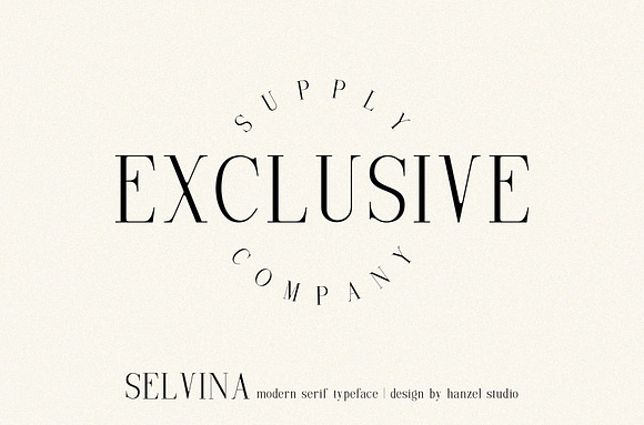 Selvina//a classic serif in Serif Fonts - product preview 4