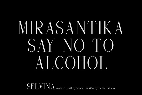 Selvina//a classic serif in Serif Fonts - product preview 5