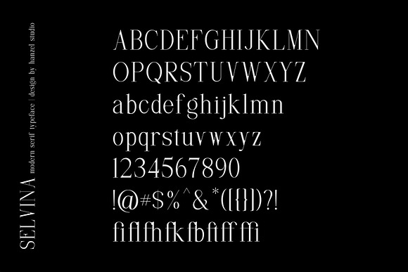 Selvina//a classic serif in Serif Fonts - product preview 9