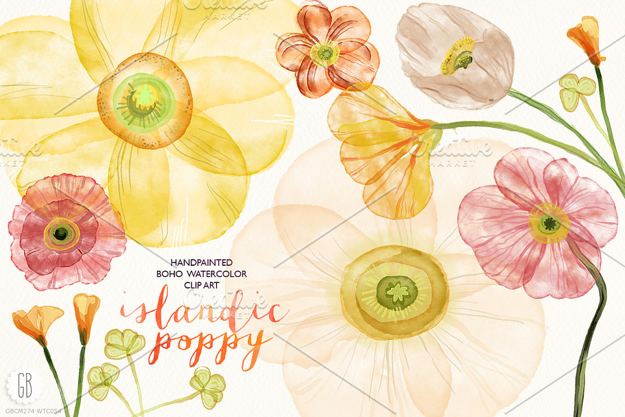 Watercolor islandic poppies flowers in Illustrations - product preview 8