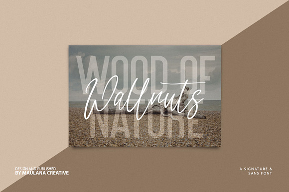 Dillandio - Font Duo in Script Fonts - product preview 2