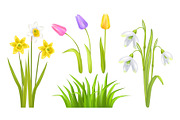 Spring Flowers Set Poster Vector