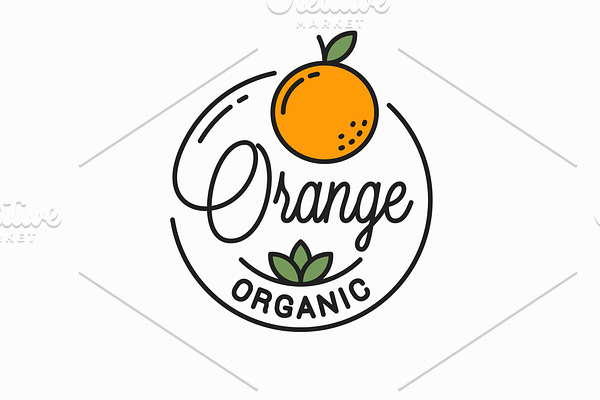 Orange fruit logo. Round linear logo