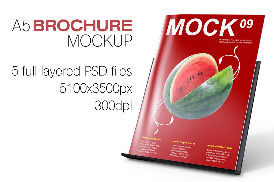 A5 Brochure Mockup in Print Mockups - product preview 8