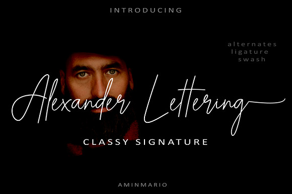 ALEXANDER LETTERING | classy font in Lettering Fonts - product preview 9
