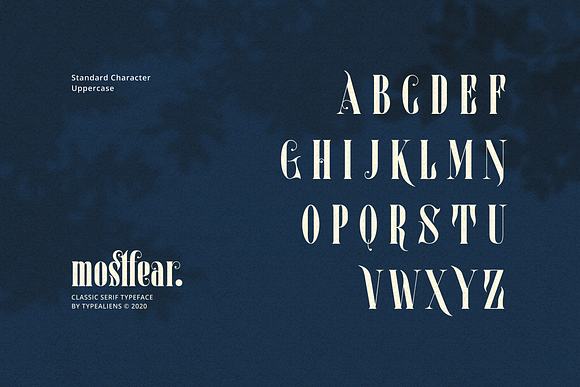 Mostfear in Serif Fonts - product preview 6