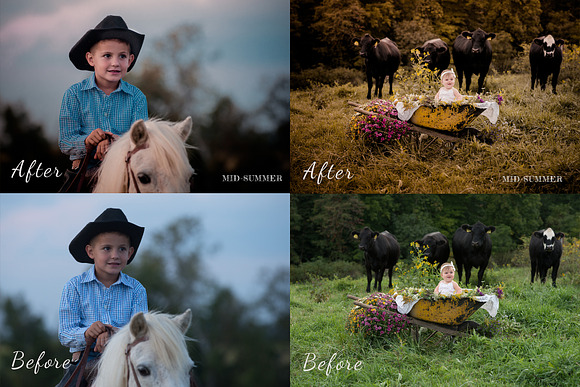 Ranch Presets for Lightroom + Mobile in Add-Ons - product preview 3