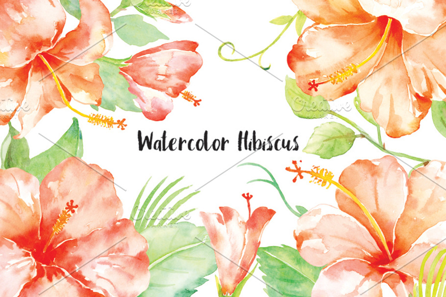 Watercolor Clipart Orange Hibiscus in Illustrations - product preview 8
