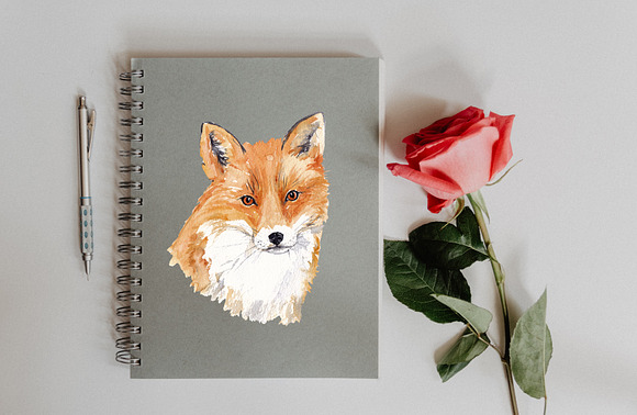 Watercolor Fox Illustration in Illustrations - product preview 4