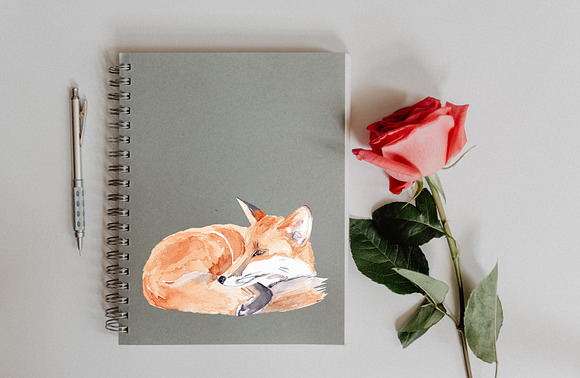 Fox Watercolor Illustration in Illustrations - product preview 3