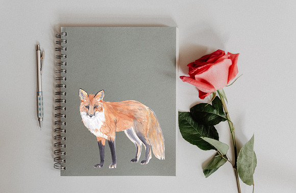 Fox Illustration Watercolor Clipart in Illustrations - product preview 1