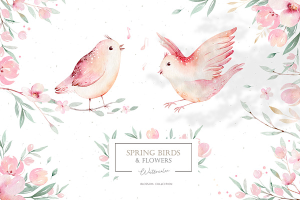 Watercolor spring birds & flowers