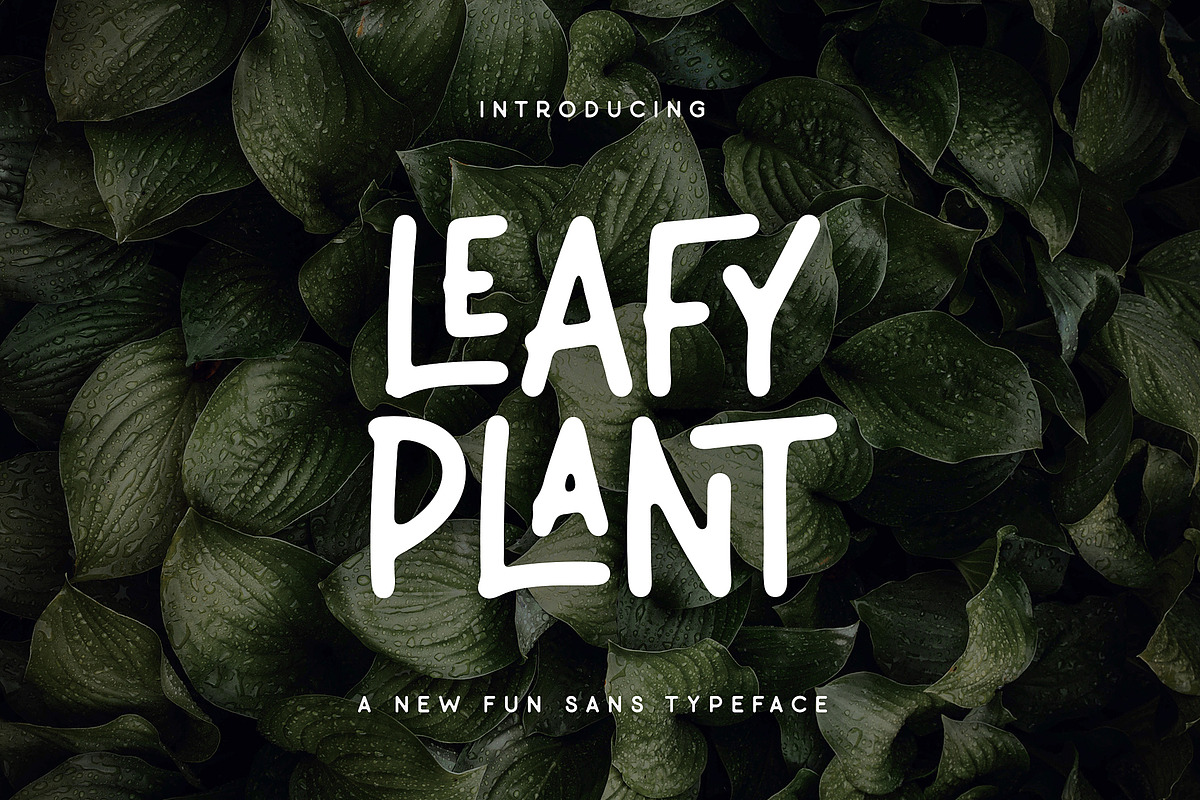 Leafy Plant Fun Typeface in Display Fonts - product preview 8