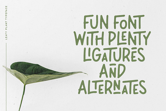 Leafy Plant Fun Typeface in Display Fonts - product preview 2