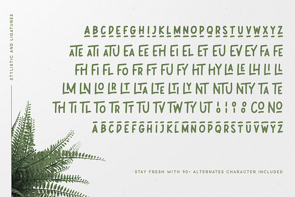 Leafy Plant Fun Typeface in Display Fonts - product preview 4