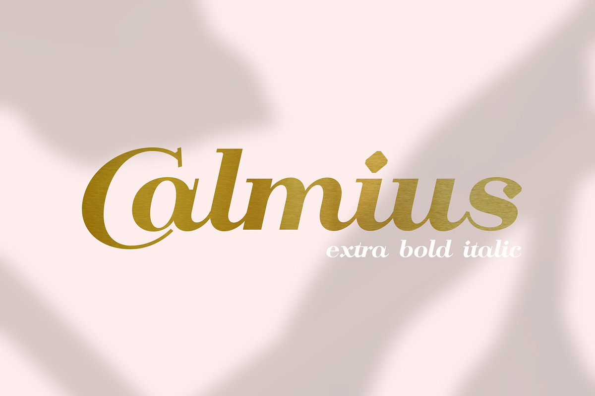 Calmius EB Italic in Serif Fonts - product preview 8