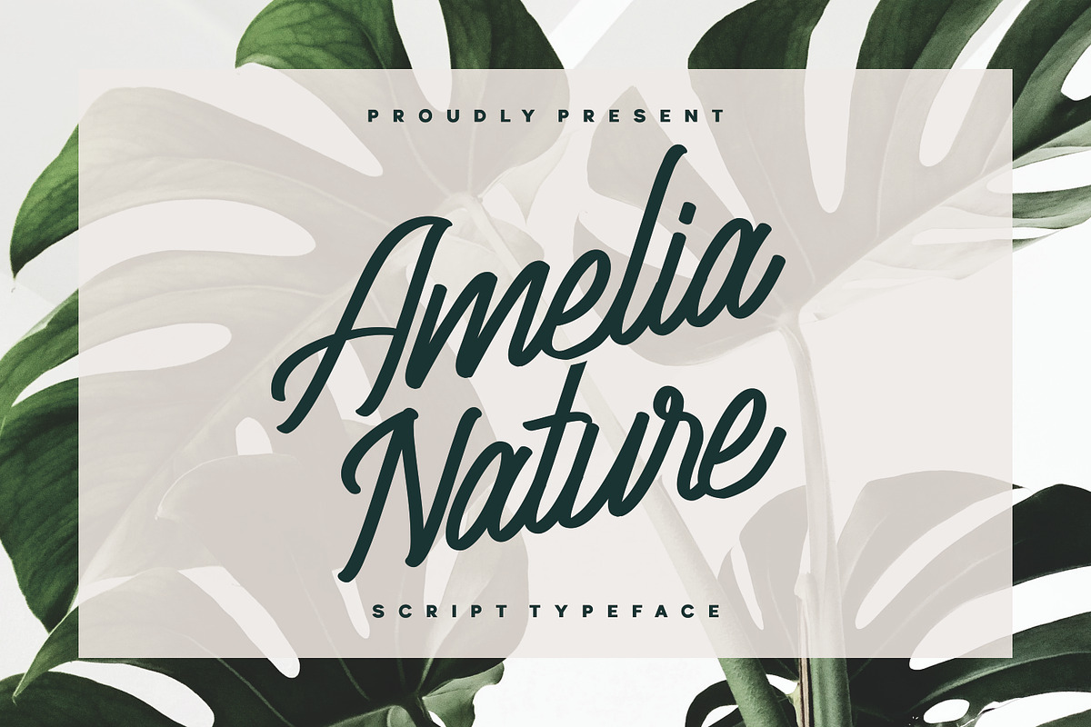 Amelia Nature - Script Typeface in Script Fonts - product preview 8