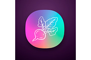 Beet color app icon