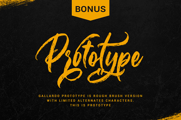 Gallardo Script in Script Fonts - product preview 14