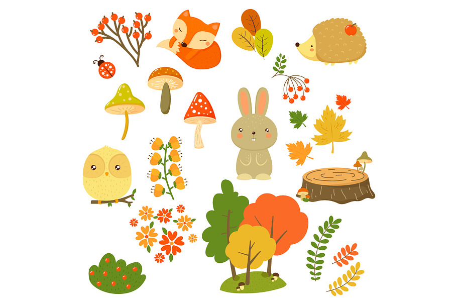 Autumn Forest Plants and Animals in Illustrations - product preview 8