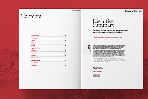 Red Business Brochure Layout in Brochure Templates - product preview 1