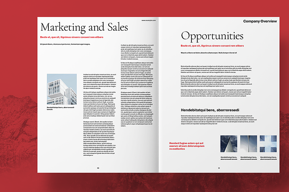 Red Business Brochure Layout in Brochure Templates - product preview 5
