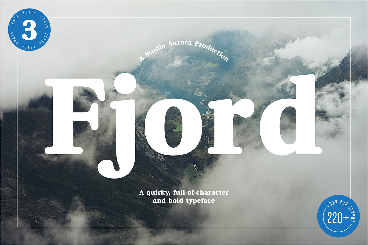 Fjord - Soft Fat Serif Font in Serif Fonts - product preview 8